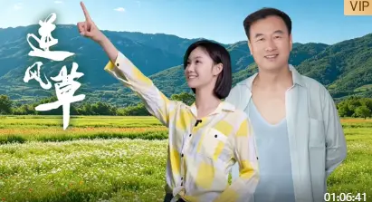 逆风草