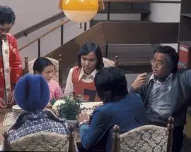 少年十五二十时1976