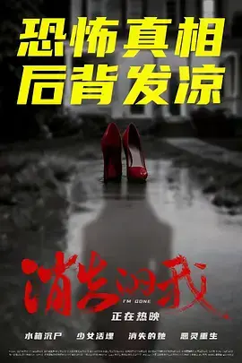 消失的我