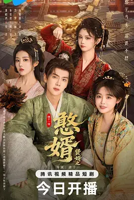 贤婿之憨婿