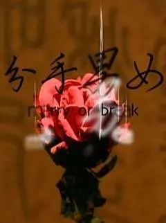 分手男女2008