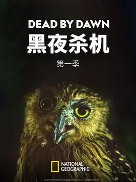 黑夜杀机第一季