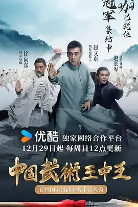 中国武术王中王