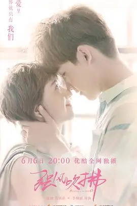 强风吹拂2019